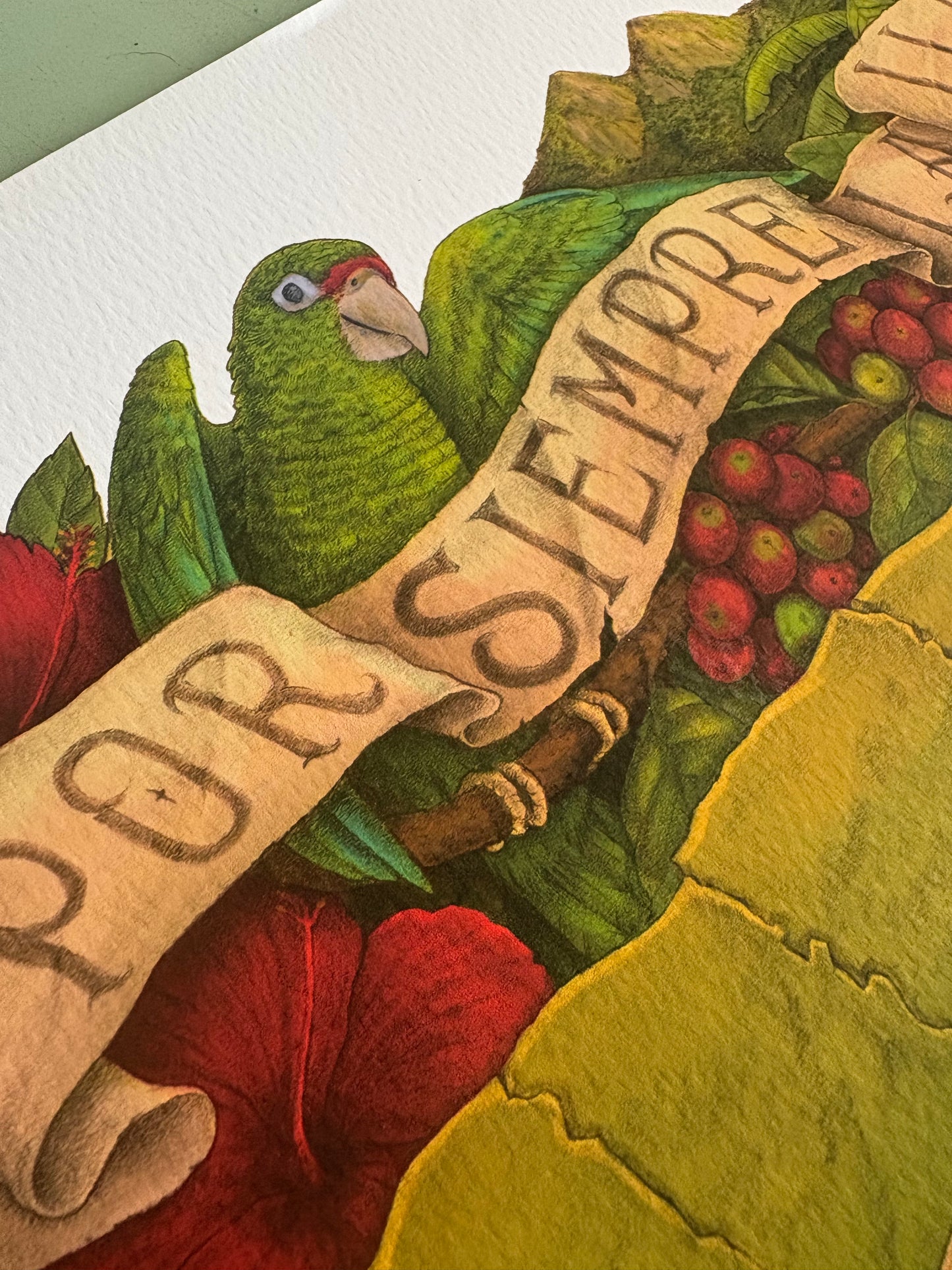 PRECIOSA: EDICIÓN A COLOR (18"X24")